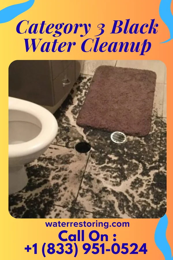 Category 3 Black Water Cleanup in Cañoncito, NM
